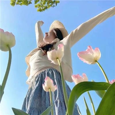 打雀英雄传